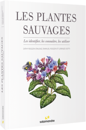 Les plantes sauvages, éditions La Salamandre