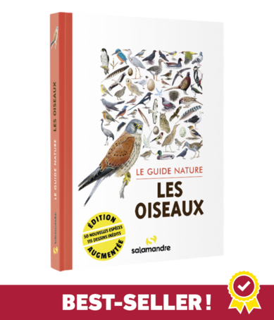 Le guide nature des oiseaux