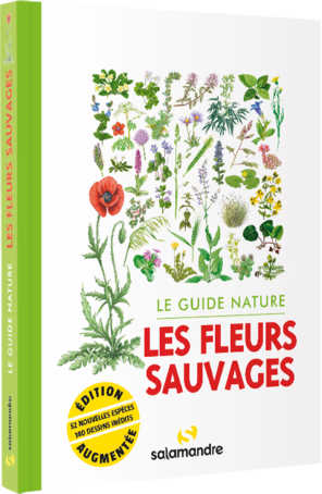 Le guide nature des fleurs sauvages, éditions La Salamandre