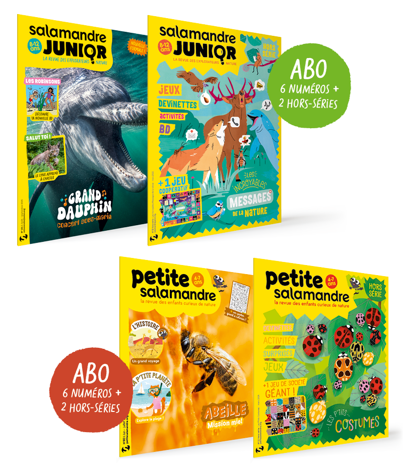 Abonnement 1 an Petite Salamandre (4-7 ans) + Salamandre Junior (8-12 ans) + 4 Hors-séries