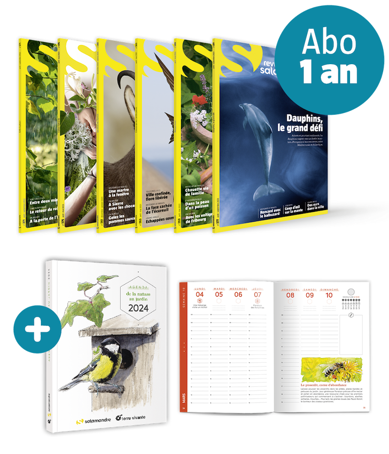 Abonnement  Salamandre (1 an) + agenda de la nature au jardin 2020