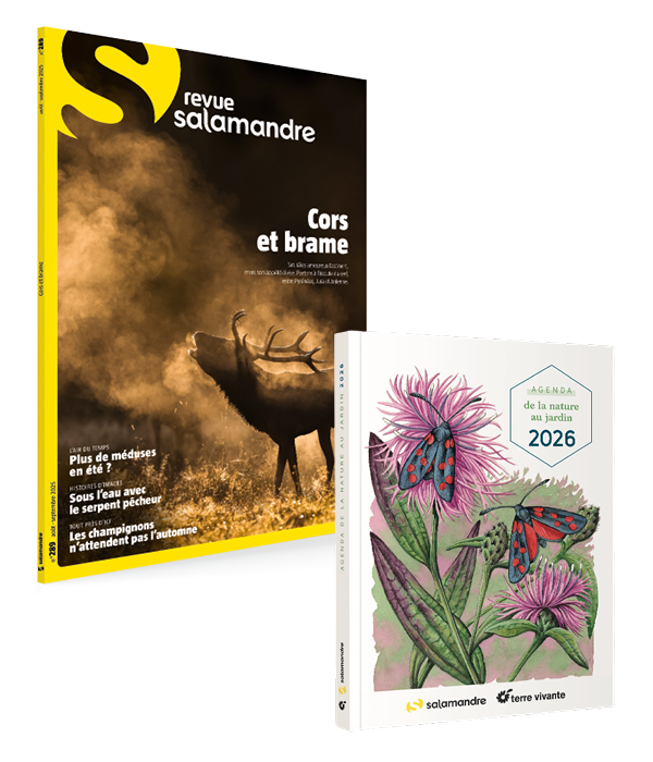 Abonnement  Salamandre (1 an) + agenda de la nature au jardin 2020