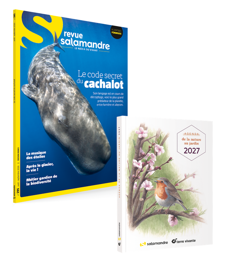 Abonnement  Salamandre (1 an) + agenda de la nature au jardin 2020
