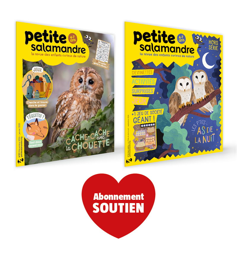 Abonnement soutien 1 an Petite Salamandre + 2 hors-séries (4-7 ans)