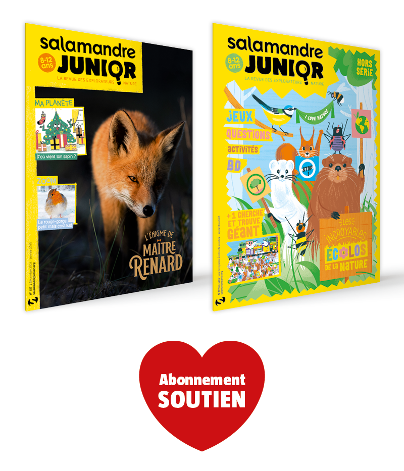 Abonnement soutien 1 an, Salamandre Junior (8-12 ans) + 2 hors-séries