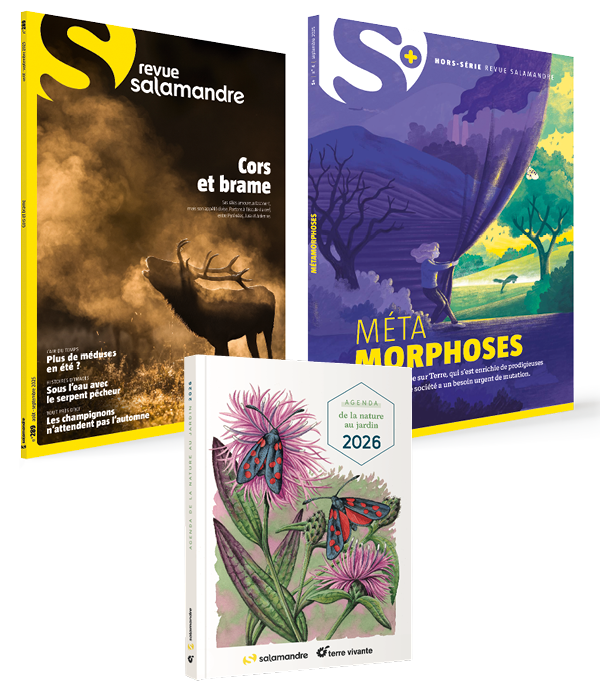 Abonnement à La Salamandre 1 an + hors-série + l'agenda de la nature au jardin 2023