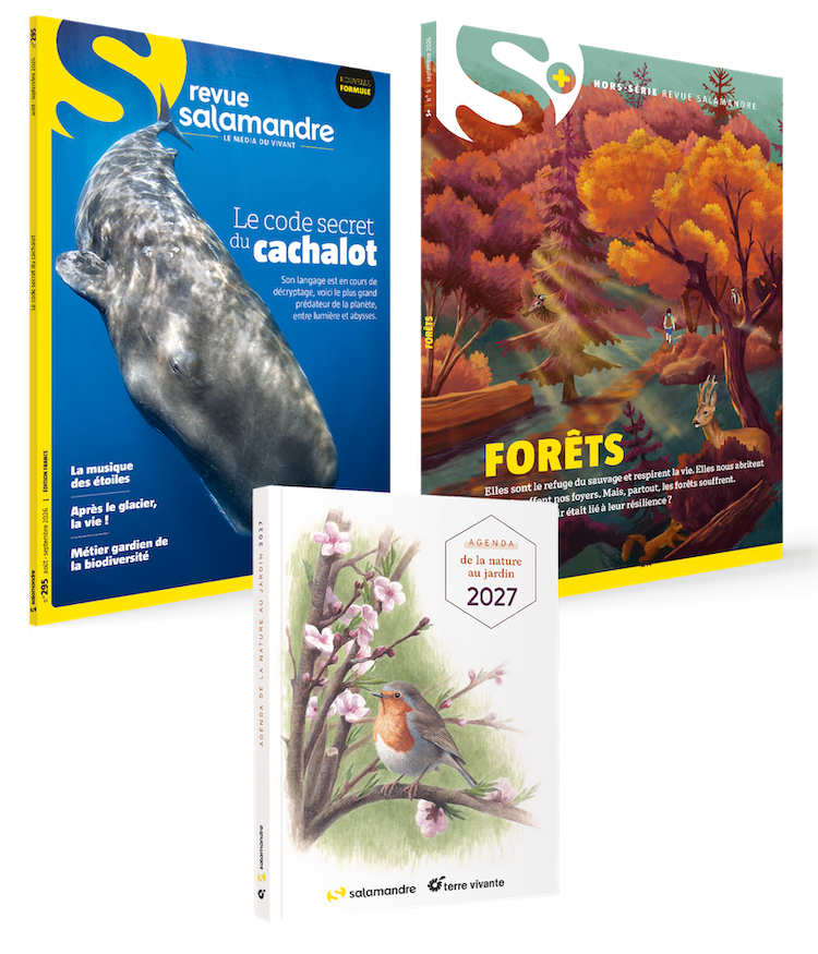 Abonnement à La Salamandre 1 an + hors-série + l'agenda de la nature au jardin 2023