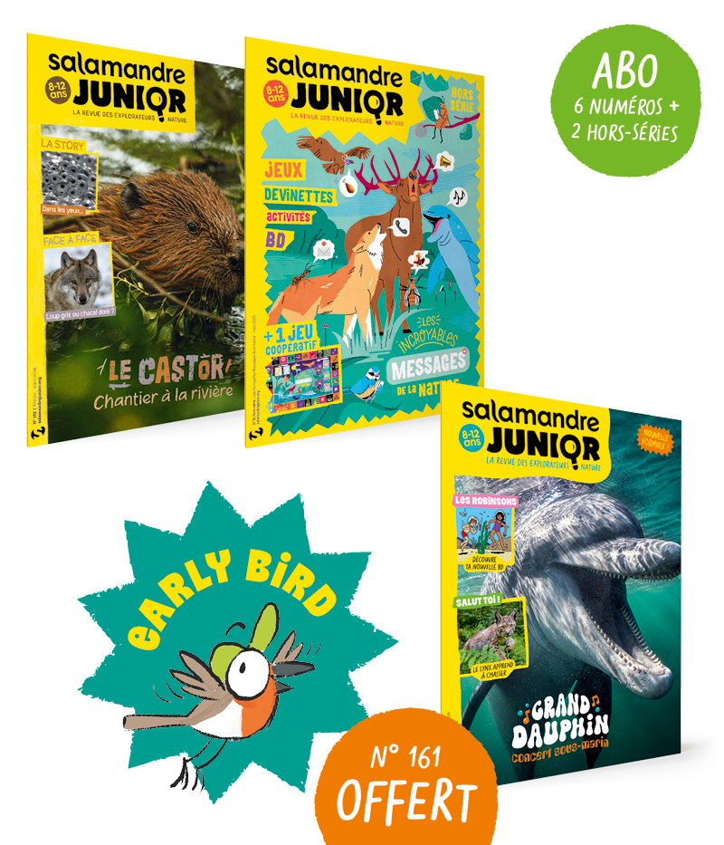 Abonnement à La Salamandre Junior 1 an + 2 hors-séries ((Earlybird - 1 no offert)