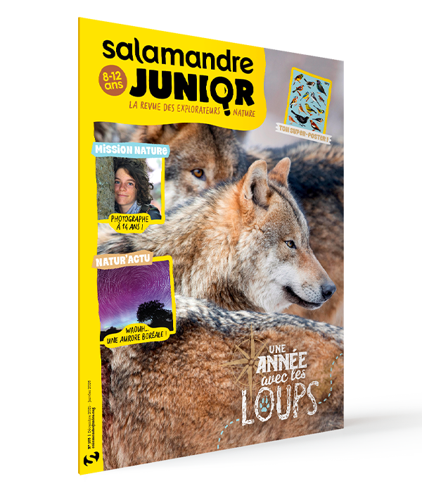 Abonnements Salamandre Junior