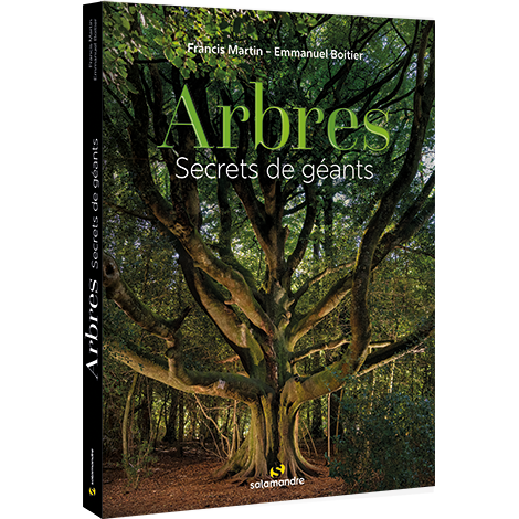 Arbres, secrets de géants