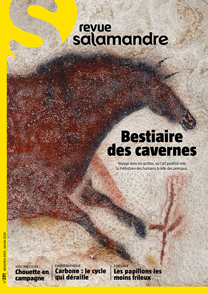 Bestiaire des cavernes (N°291)
