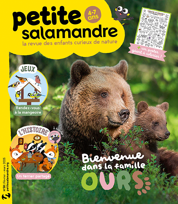 Bienvenue dans la famille Ours (n°58)