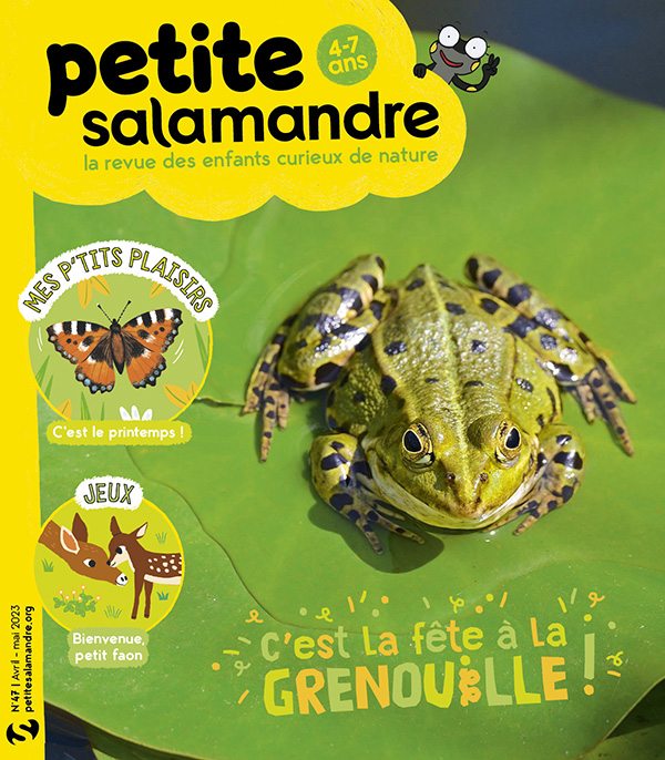 C'est la fête à la grenouille ! (n°47) > Boutique - Salamandre > Boutique -  Salamandre