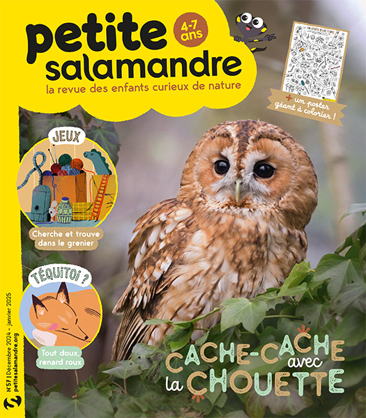 Cache-cache avec la chouette (n°57)