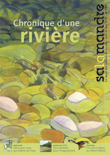 Chronique d'une rivière (N°197)