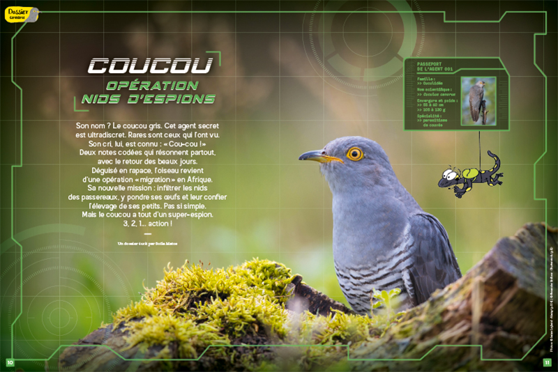 Coucou Operation Nids D Espions N 123