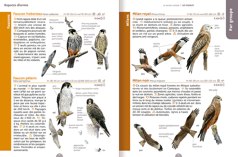 Mangeoires et colonnes pour les oiseaux de la nature et du jardin (2) -  Qualitybird - la boutique de vos oiseaux