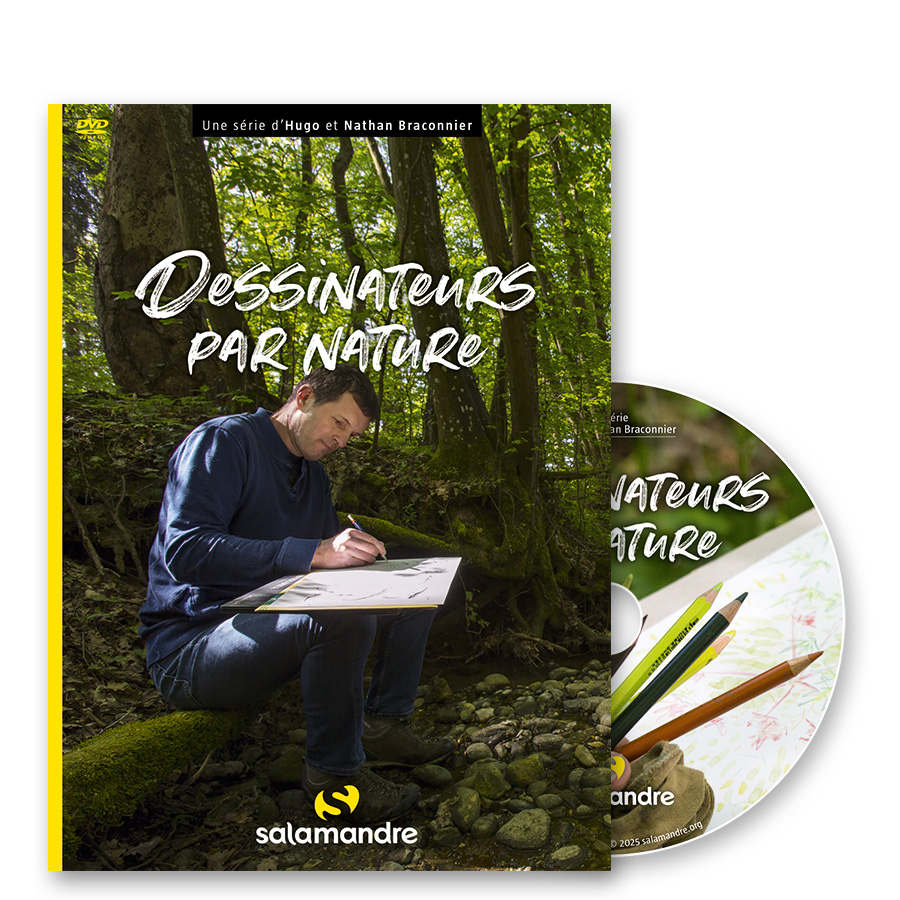 DVD Dessinateur par nature