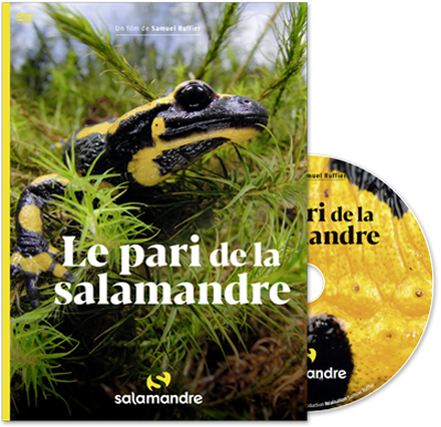 DVD Le pari de la Salamandre