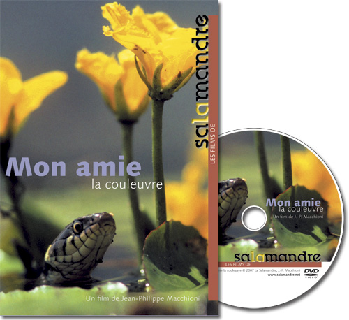 DVD - Mon amie la couleuvre