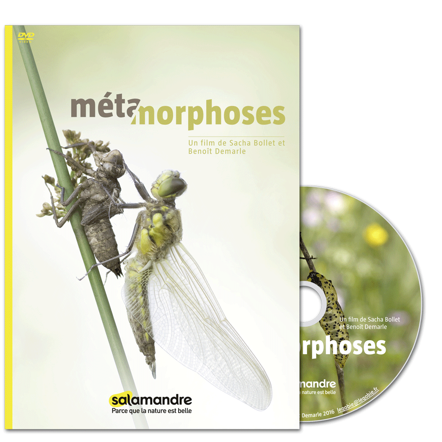 DVD Métamorphoses
