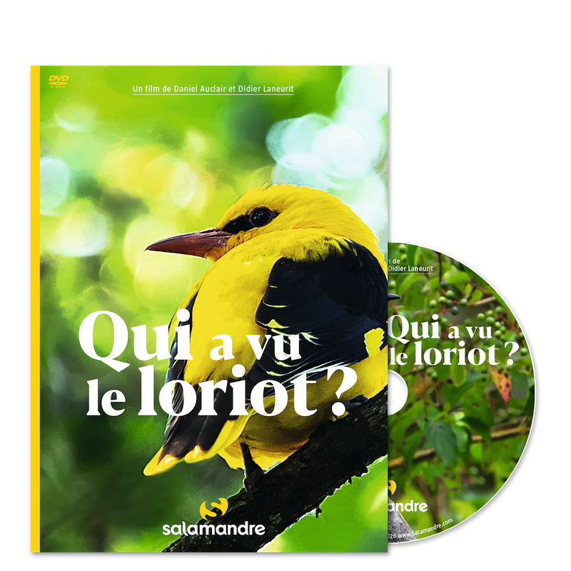 DVD Qui a vu le loriot? 