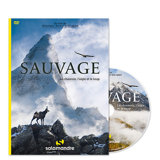 DVD Sauvage, le chamois, l'aigle et le loup