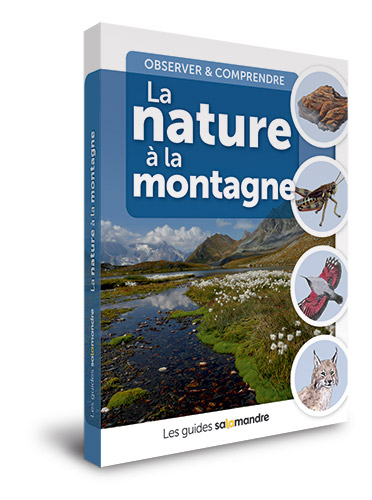 Guide Salamandre: La nature à la montagne