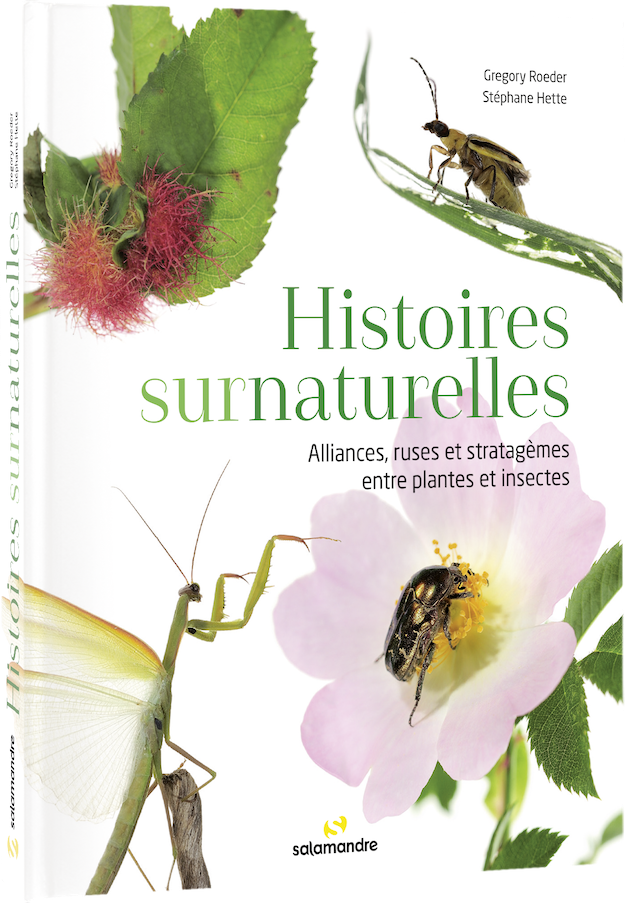 Histoires surnaturelles. Alliances, ruses et stratagèmes entre plantes et insectes
