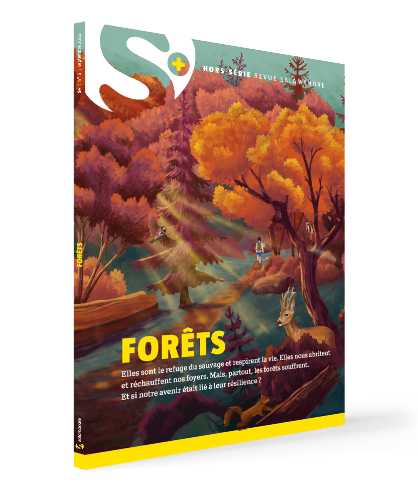 HORS-SÉRIE Forêt (HS n°5) 