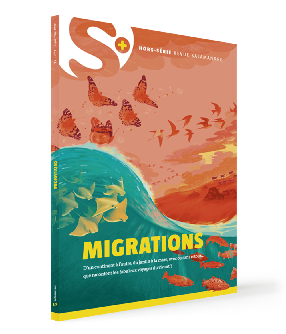 HORS-SÉRIE Migration (N°2)