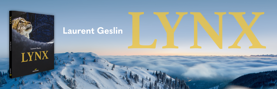 LYNX de Laurent Geslin