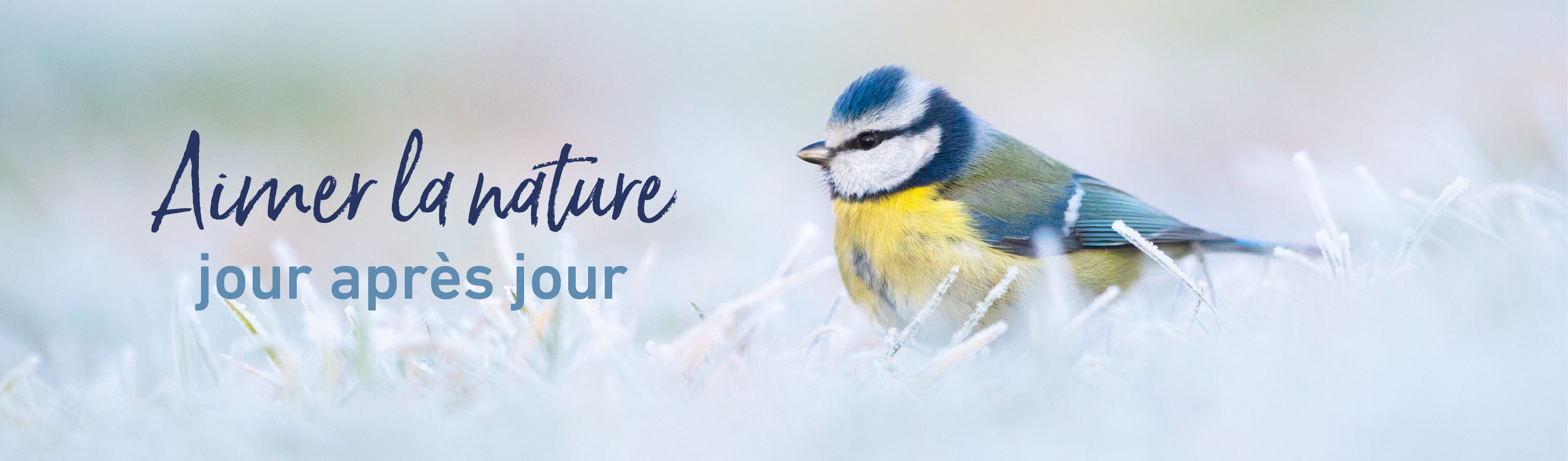 Nos offres d'abonnements