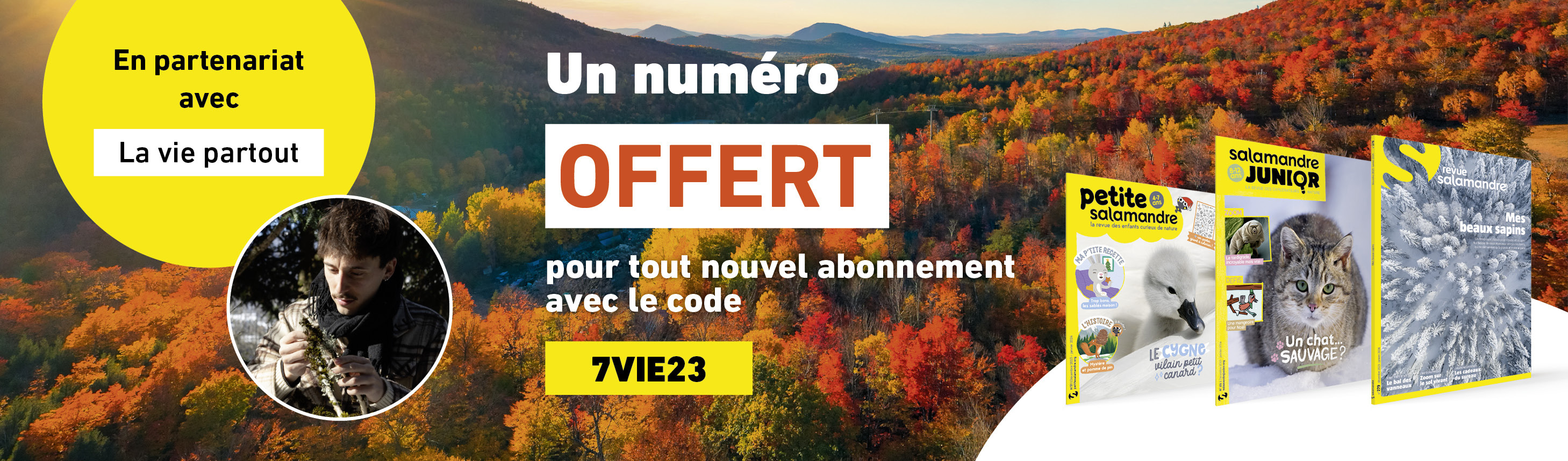 La sélection Salamandre de La vie partout La sélection Salamandre de La vie partout