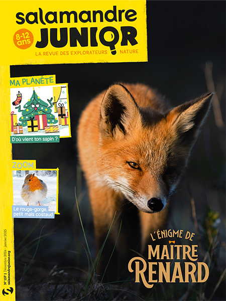 L'énigme de maître renard ! (n°157)