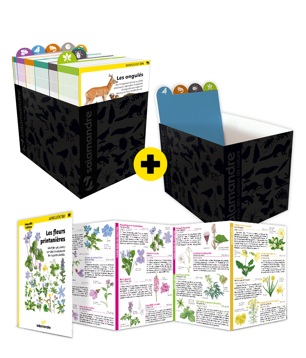 La collection complète des Miniguides avec 2 boîtes de rangement offertes 