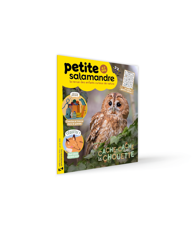 Abonnements Petite Salamandre 4-7 ans