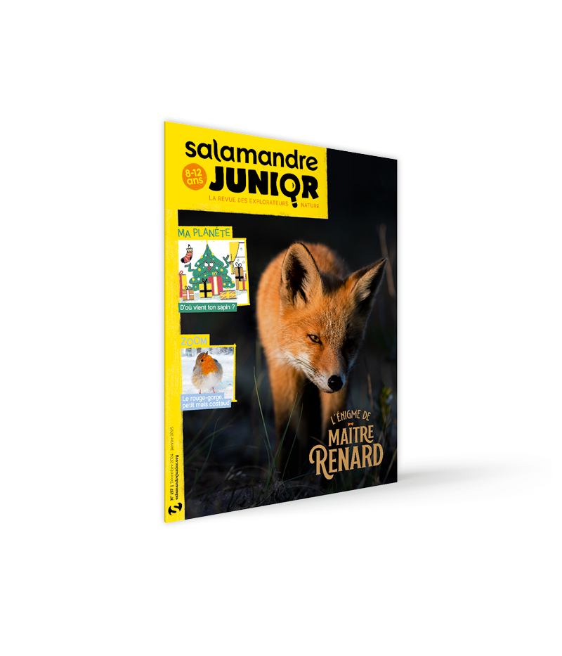 La Salamandre Junior, abonnement 1 an