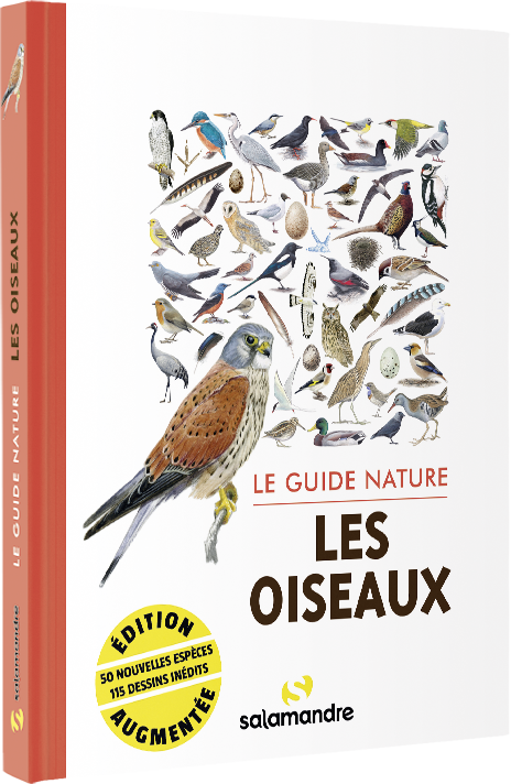 Le guide nature des oiseaux