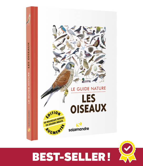 Le guide nature des oiseaux