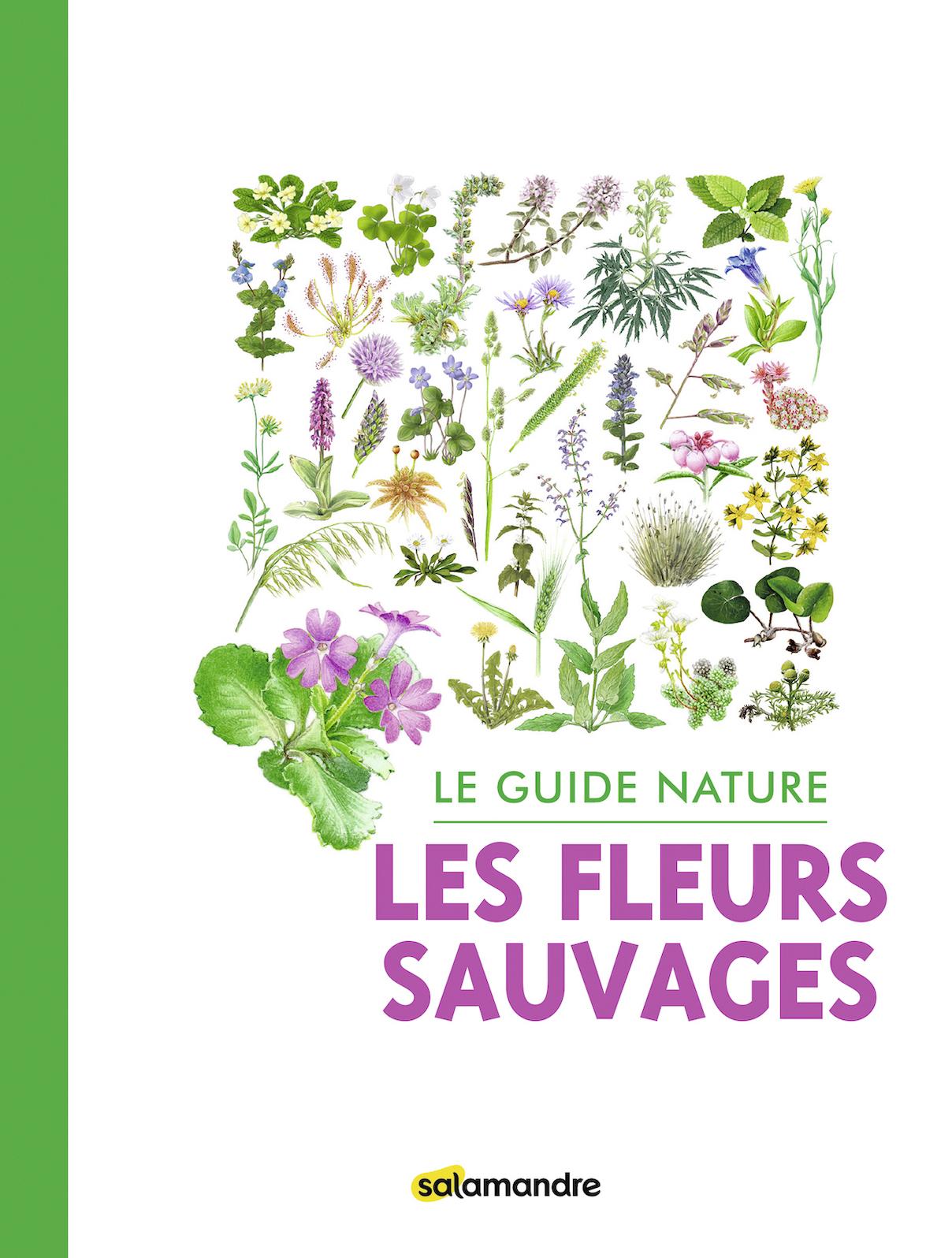 Le guide nature Les fleurs sauvages 1ère ed. (au lieu de 17€)