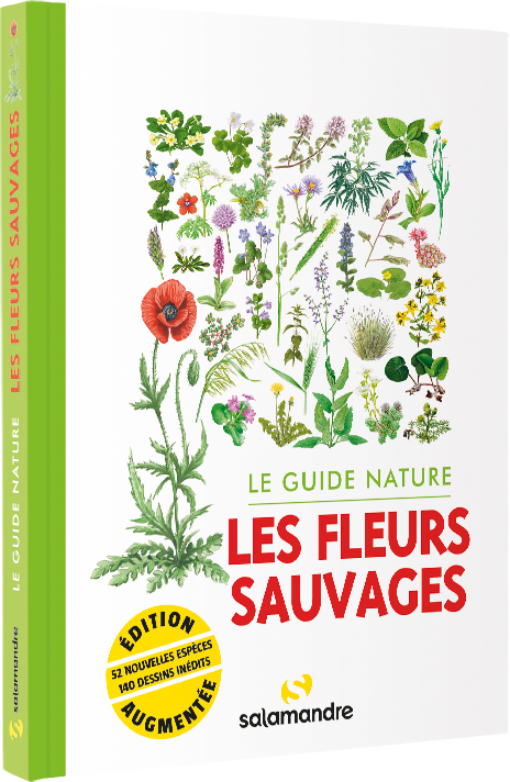 Le guide nature Les fleurs sauvages, 2e édition