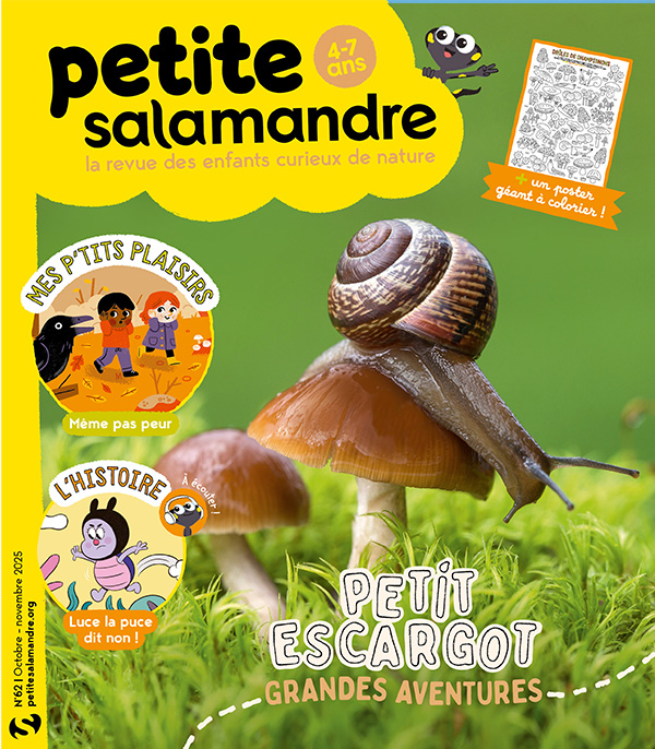 Le phoque se la coule douce (n°61)
