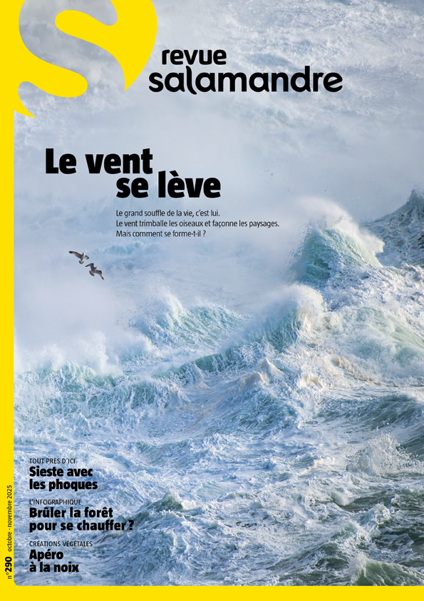 Le vent se lève (N°290)