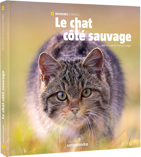 Les mille vies du castor