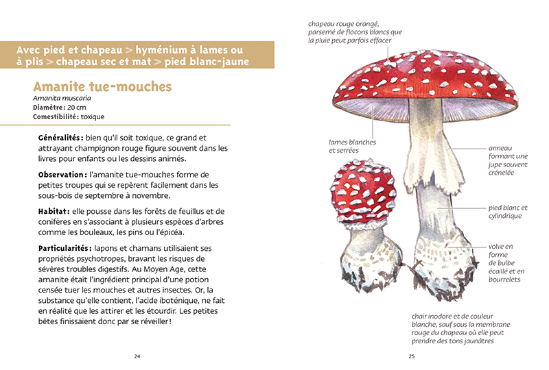 Livre des champignons pour recueillir: Le carnet de notes pour noter vos  champignons trouvés (Paperback)