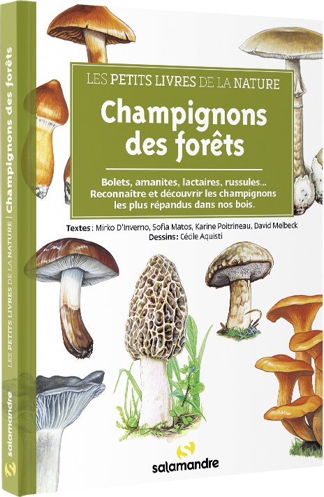 Les petits livres de la nature - Champignons des forêts > Boutique -  Salamandre > Boutique - Salamandre