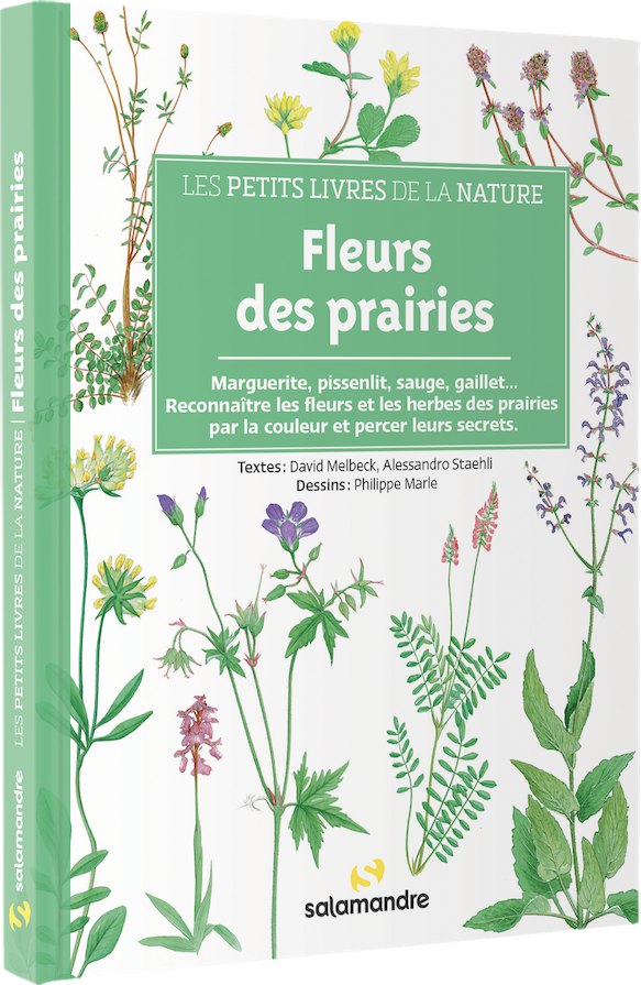 Les petits livres de la nature - Fleurs des prairies