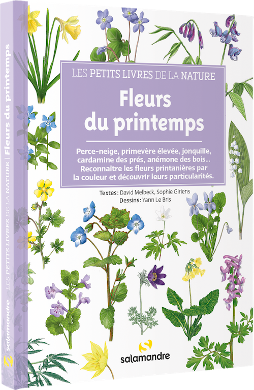 Les petits livres de la nature - Fleurs du printemps