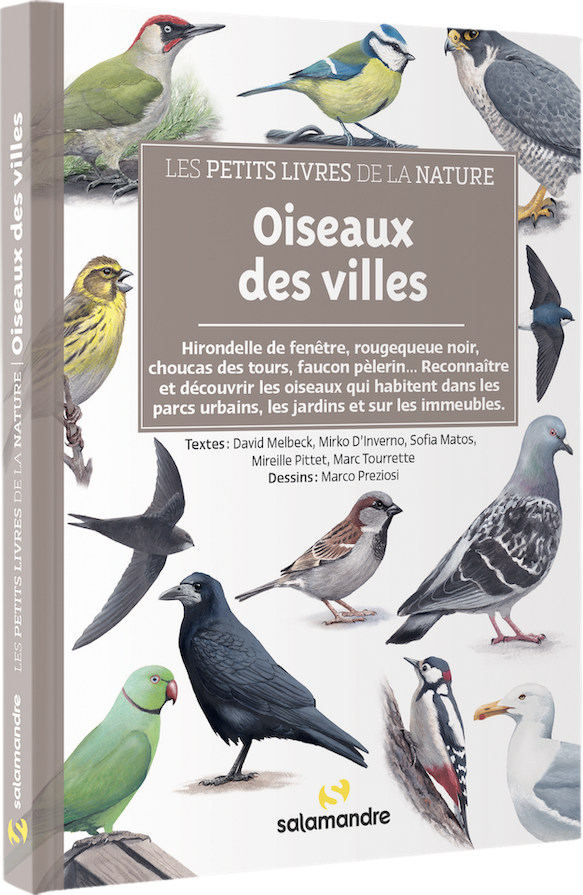 Les petits livres de la nature - Oiseaux des villes